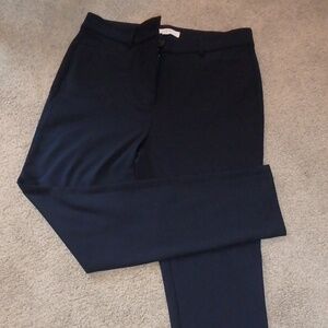 NWOT Sutton skinny pants by LOFT